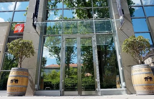 Smart Hotel Budapest — Property
