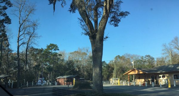 Spacious Skies Campgrounds Savannah Oaks — Property