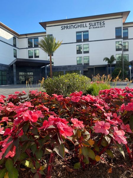SpringHill Suites by Marriott Winter Park Winter Park Florida — Property