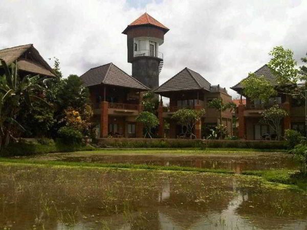 Tegal Sari Accommodation — Property