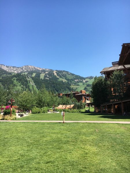 Teton View — Property
