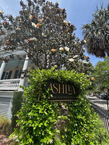 The Ashley — Property