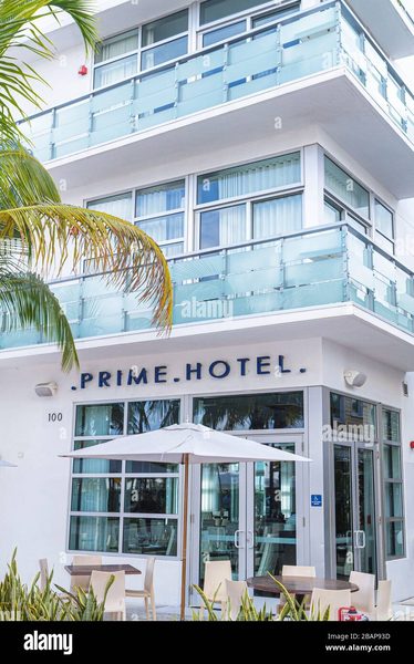 The Boutique Hotel Miami Miami Florida — Property