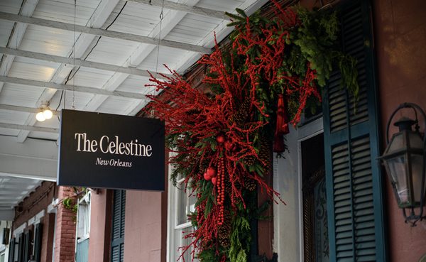 The Celestine — Property