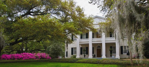 The Elms Bed and Breakfast — Property