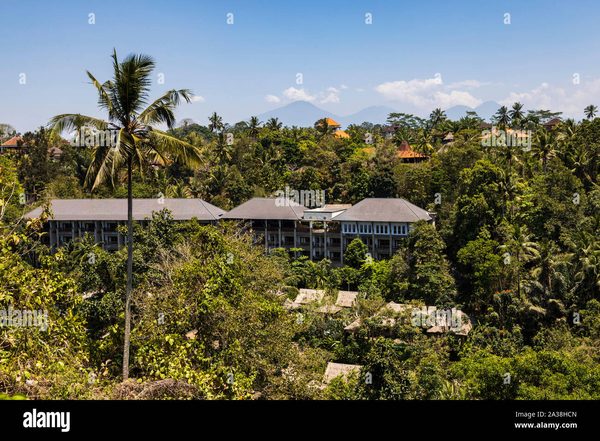 The Lokha Ubud — Property