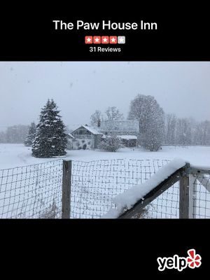 The Paw House Inn — Property