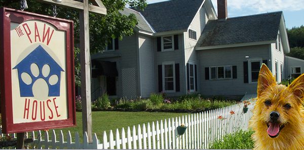 The Paw House Inn — Property