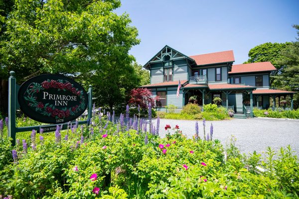The Primrose — Property