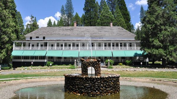 The Redwoods In Yosemite — Property
