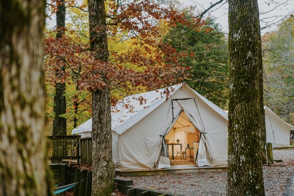 Timberline Glamping At Amicalola Falls — Property
