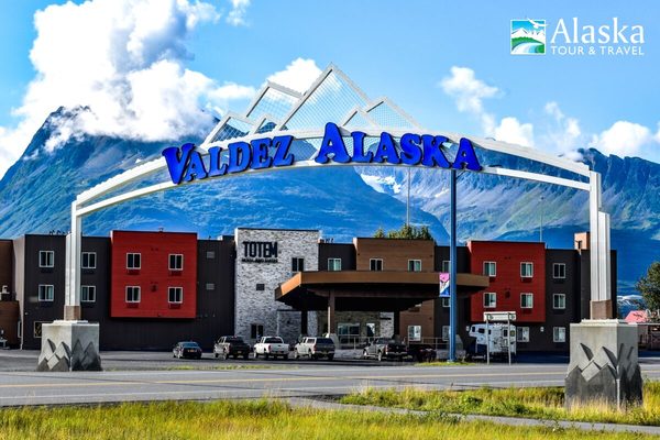 Totem Hotel and Suites — Property