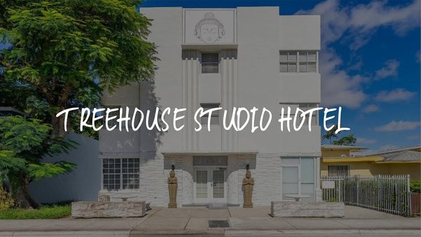 Treehouse Studio Hotel Miami Florida — Property