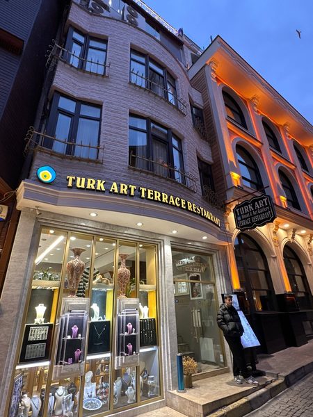 Turk Art Hotel Istanbul — Property