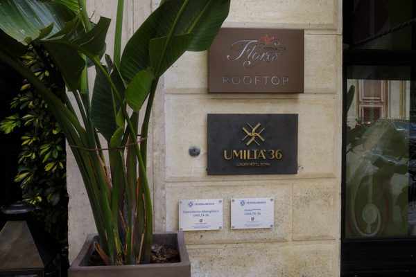 Umilta 36 — Property