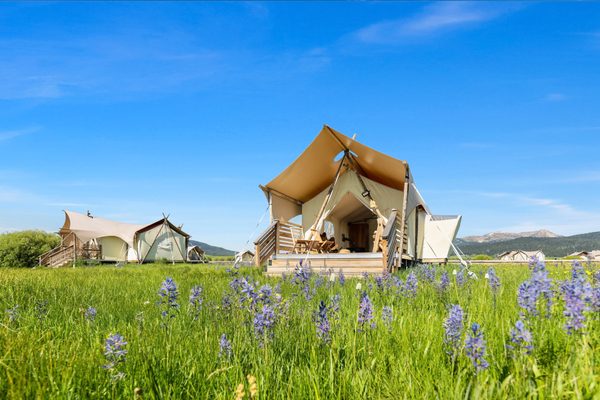 Under Canvas West Yellowstone — Property