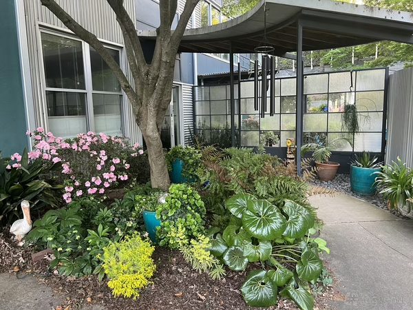 Urban Oasis Bed and Breakfast — Property