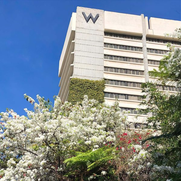 W Los Angeles West Beverly Hills Los Angeles California — Property