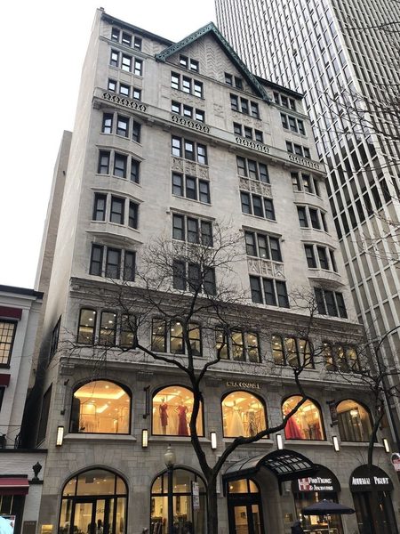 Walton Residences Chicago Illinois — Property