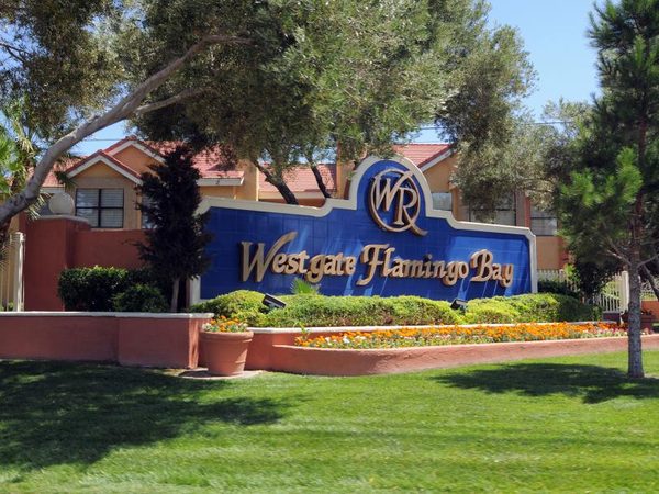 Westgate Flamingo Bay Resort Las Vegas Nevada — Property