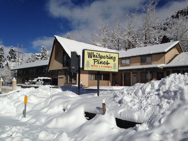 Whispering Pines Motel — Property