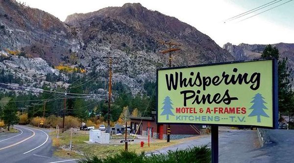 Whispering Pines Motel — Property