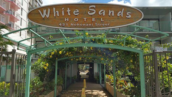 White Sands Hotel — Property