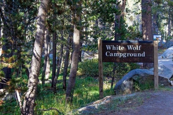 White Wolf Campground — Property