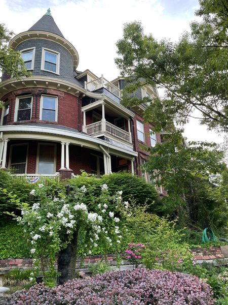 Wilson House Bed and Breakfast — Property