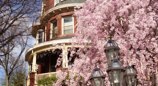 Wilson House Bed and Breakfast — Property
