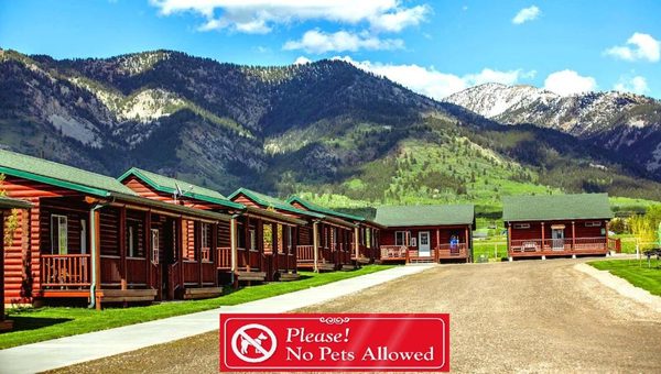 Wolf Den Log Cabin Motel RV Park — Property