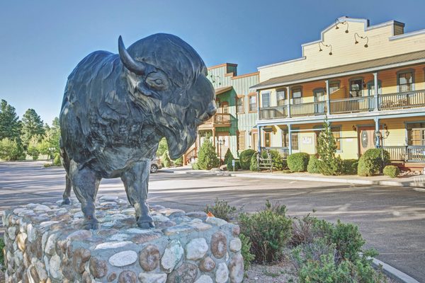 WorldMark Bison Ranch — Property
