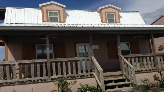 Yellow Cotton Bayside — Property