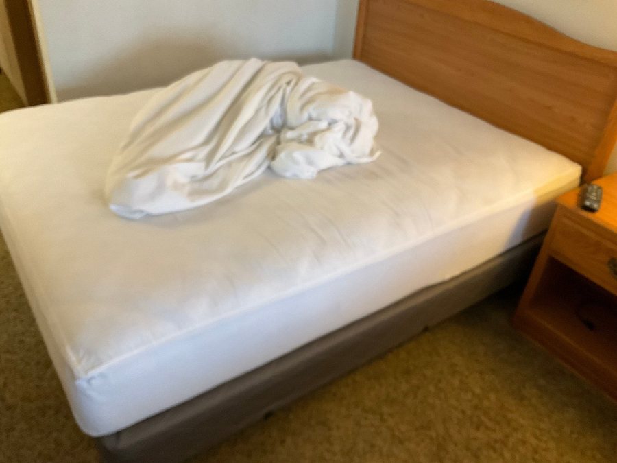 40 Club Inn — Guest room