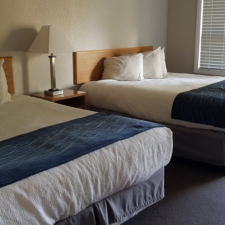 Absaroka Mountain Lodge — Guest room