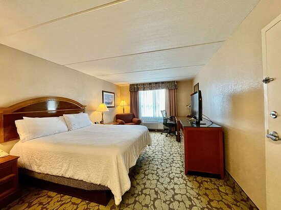 ACP Hotel Houston Westchase MOD Collection by Sonesta — Guest room