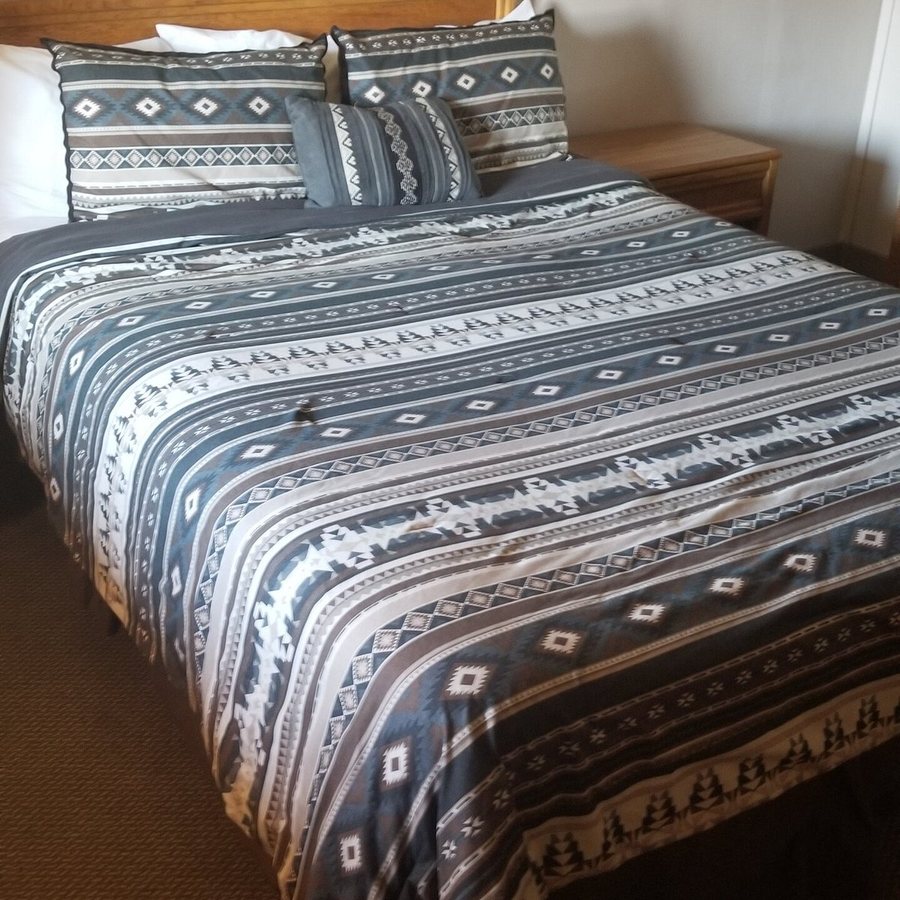 Adobe Inn Durango — Guest room
