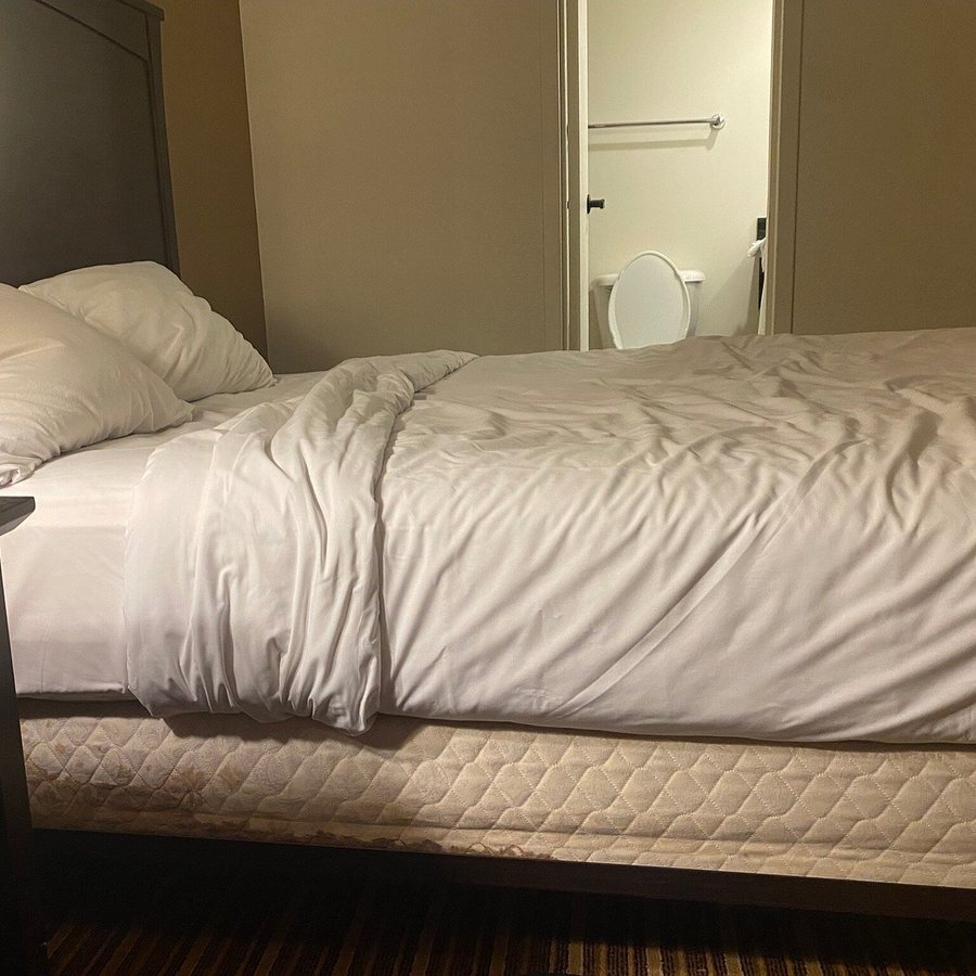 Aksarben Suites Trademark Collection — Guest room