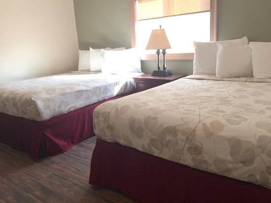 Ala Moana Resort Motel — Guest room