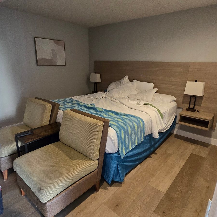 Alamo Inn Suites — Guest room