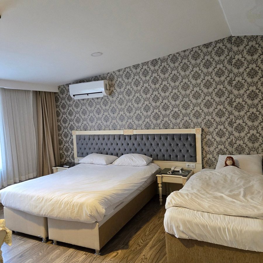 Albatros Premier Hotel Istanbul — Guest room