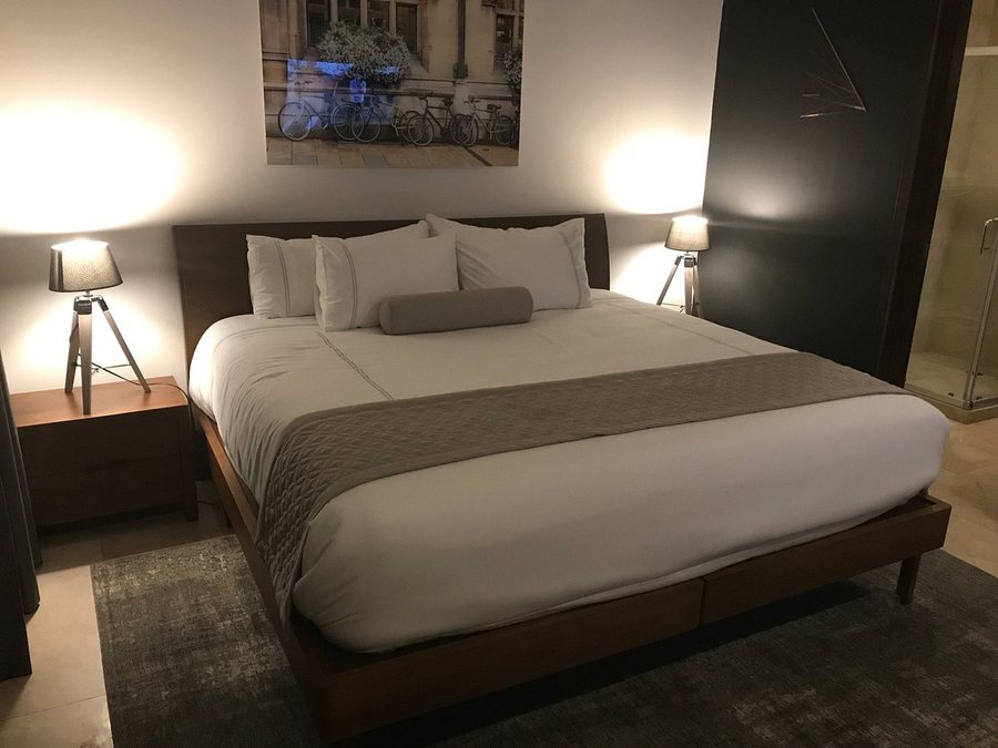 Alexander Hotel — Guest room