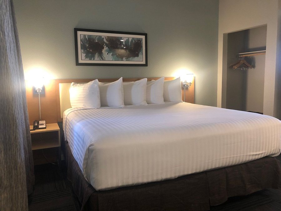 Alexis Park San Francisco — Guest room