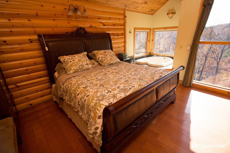 Allseasons Treehouse Village — Guest room