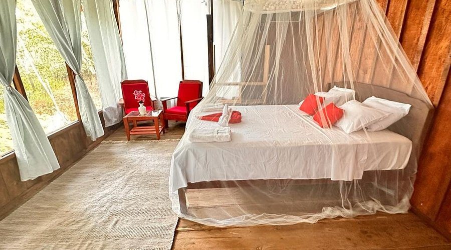 Amazonia Expeditions Tahuayo Lodge — Guest room
