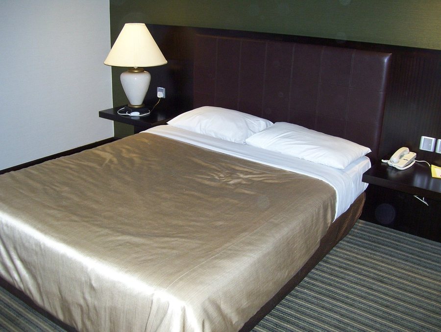 Ambassador Transit Hotel Terminal 2 — Guest room