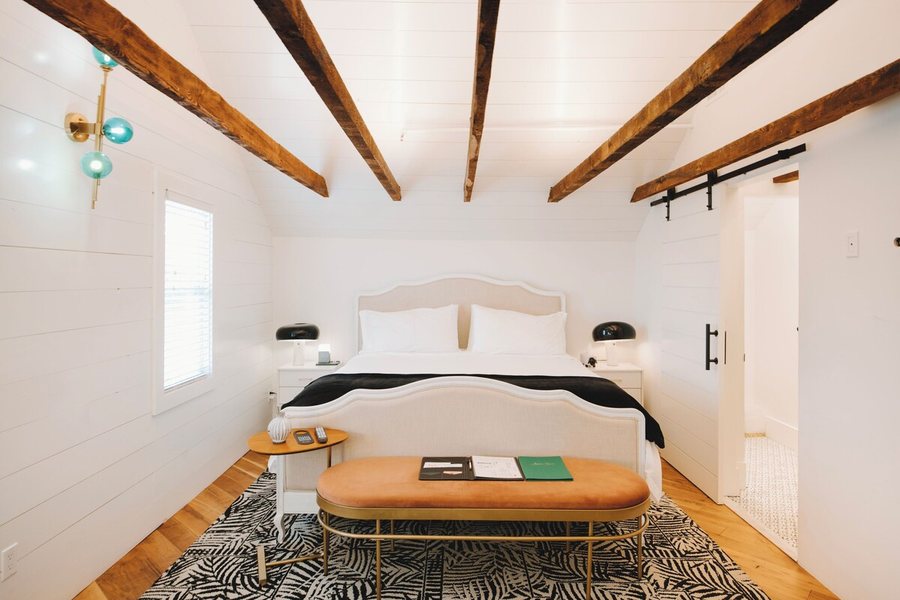 American Beech — Guest room