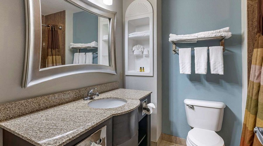 Americas Best Value Inn Bradenton Sarasota — Bathroom