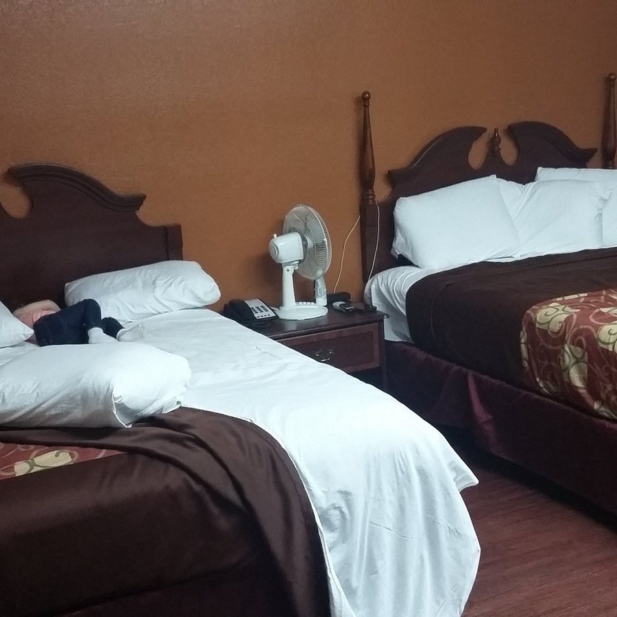 Americas Best Value Inn Houston at FM 1960 I 45 — Guest room