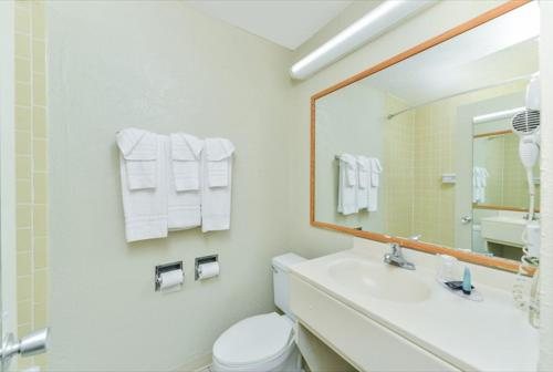 Americas Best Value Inn Sarasota Downtown — Bathroom